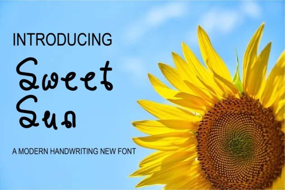 Branding with Sweet Sun: A Designer’s Take on Handwritten Typography