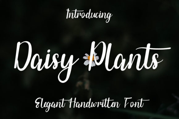 Daisy Plants Font for Modern Web Design