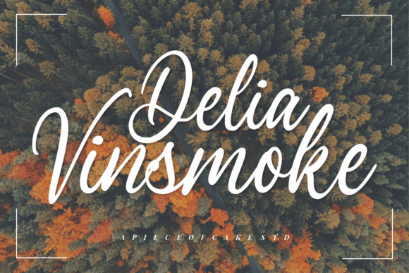Delia Vinsmoke: The Font That Elevates Your Campaigns