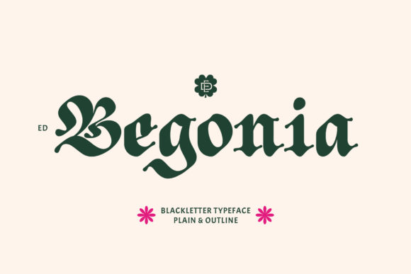 ED Begonia: A Typeface That Elevates Your Brand’s Visual Story