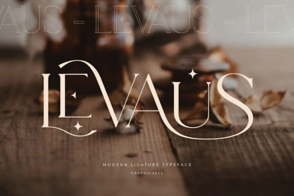Levaus: A Serif Font That Elevates Campaign Design