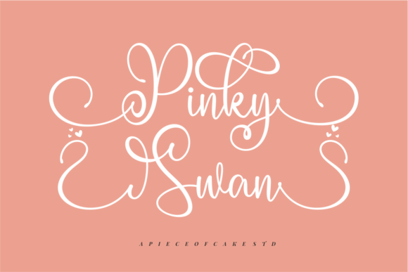 Pinky Swan Font for Branding That Feels Elegant and Memorable